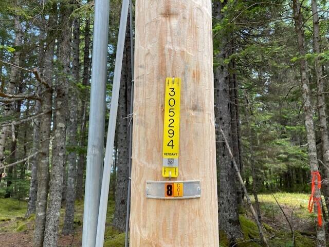 LOT139 Duck Cove Rd, Roque Bluffs, ME 04654 - photo 12