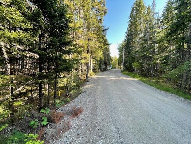 LOT139 Duck Cove Rd, Roque Bluffs, ME 04654 - photo 14