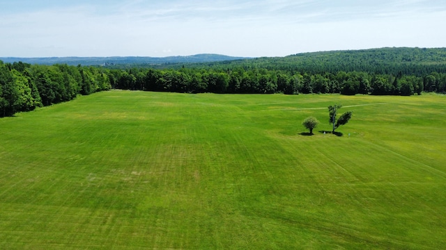 325 W Rd, New Sweden, ME 04762 - photo 58