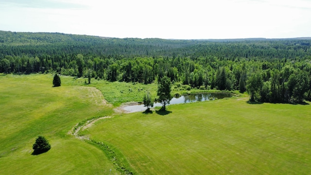 325 W Rd, New Sweden, ME 04762 - photo 60
