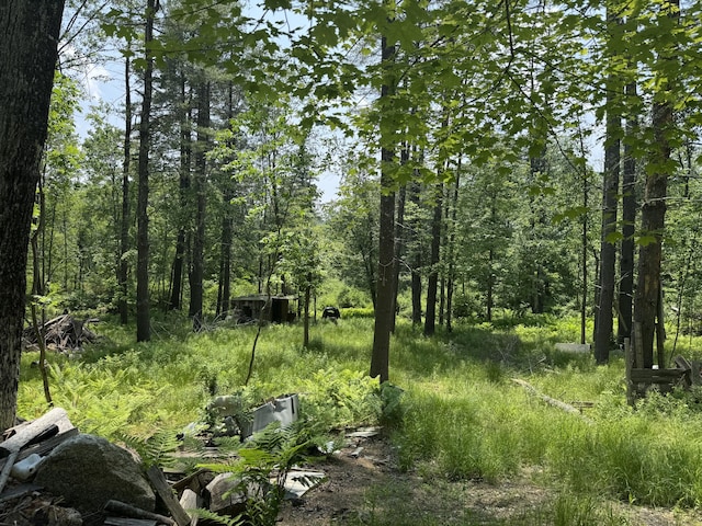140 Parsonsfield Rd, Limerick, ME 04048 - photo 7