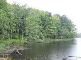 323 Pine St, Dover-Foxcroft, ME 04426 - water view with a forest