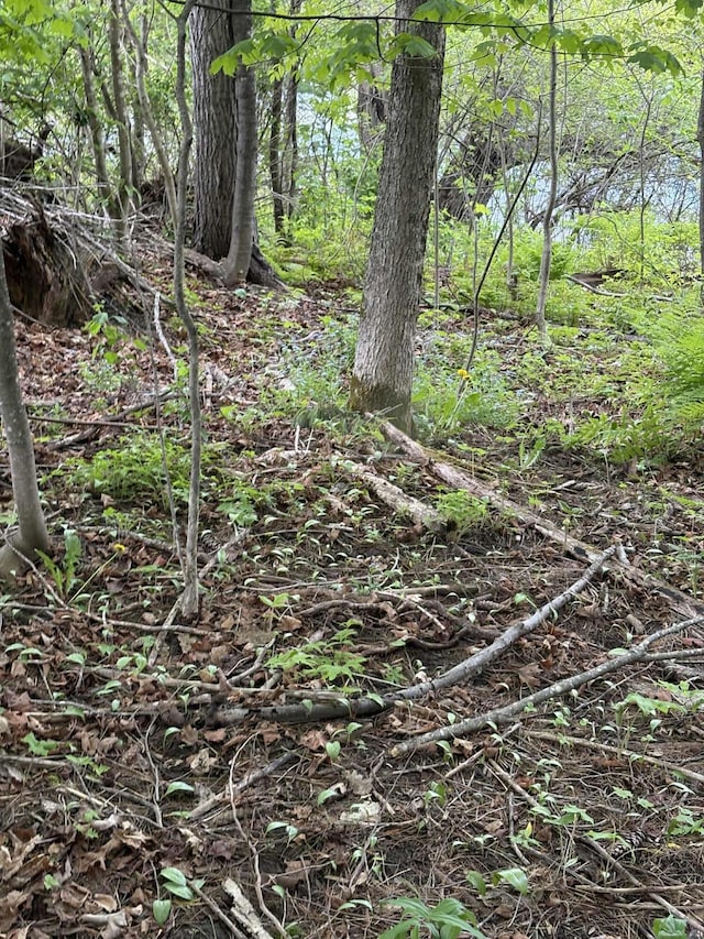 323 Pine St, Dover-Foxcroft, ME 04426 - view of local wilderness