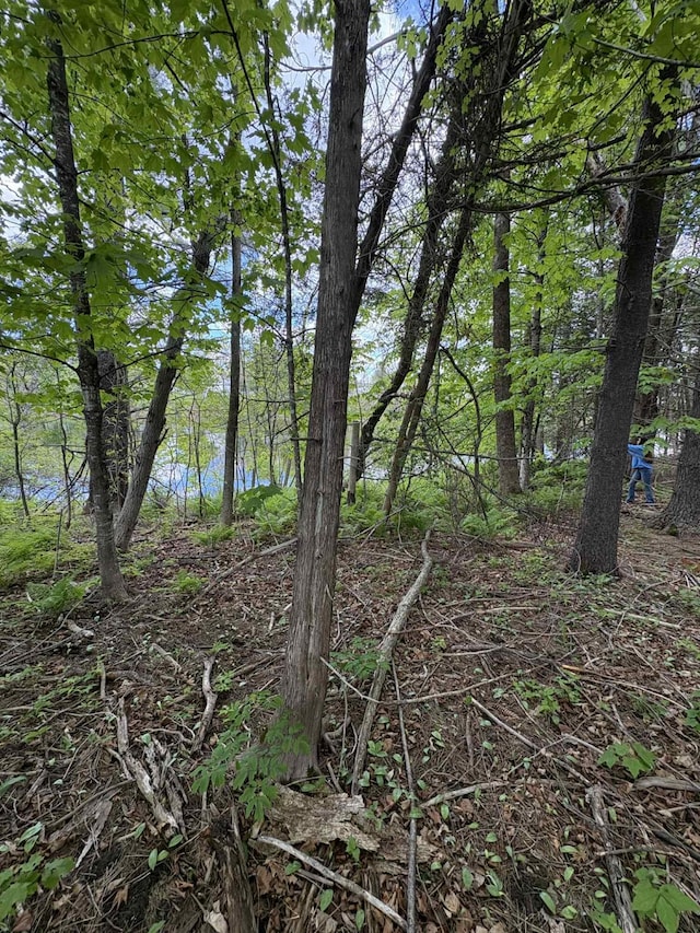 323 Pine St, Dover-Foxcroft, ME 04426 - view of undeveloped land