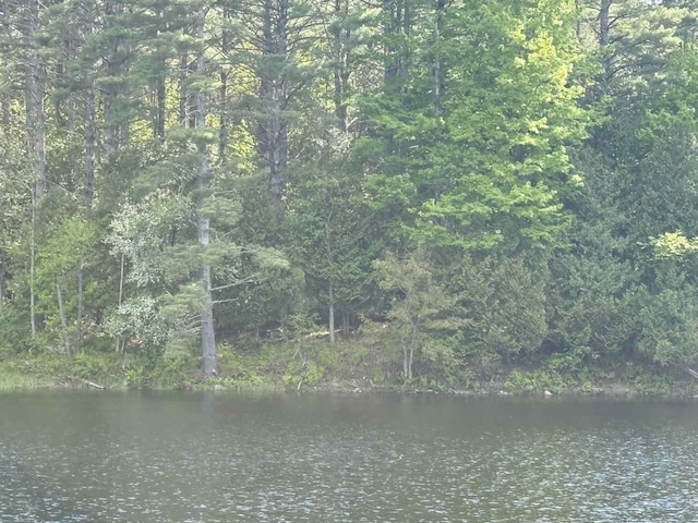 323 Pine St, Dover-Foxcroft, ME 04426 - water view