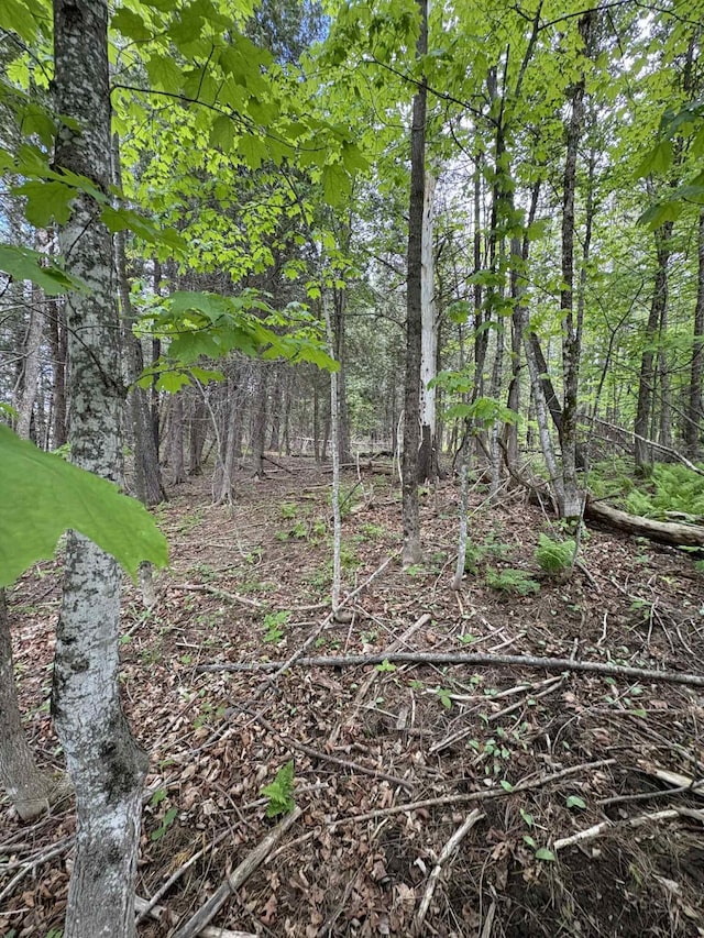 323 Pine St, Dover-Foxcroft, ME 04426 - view of nature