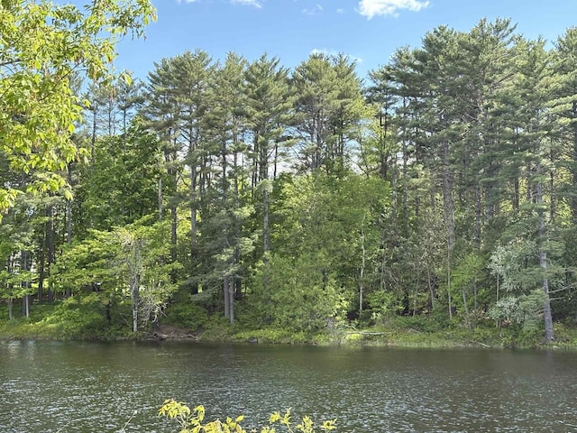 323 Pine St, Dover-Foxcroft, ME 04426 - water view with a forest