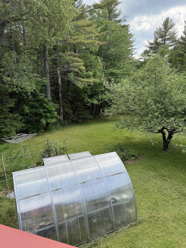 333 Mohawk Rd, Enfield, ME 04493 - view of green lawn featuring an exterior structure, an outdoor structure, and a wooded view