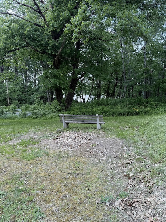 333 Mohawk Rd, Enfield, ME 04493 - view of home's community