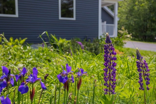 189 Middle St, Farmington, ME 04938 - photo 74