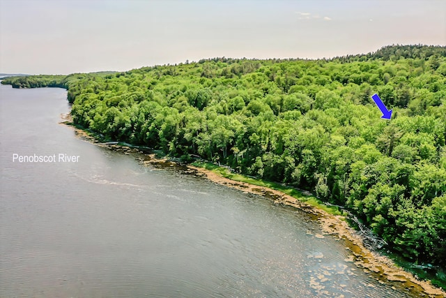 19 Bracken Ln, Stockton Springs, ME 04981 - photo 64