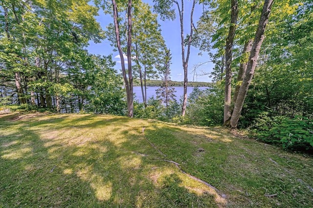 19 Bracken Ln, Stockton Springs, ME 04981 - photo 59