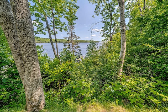 19 Bracken Ln, Stockton Springs, ME 04981 - photo 58