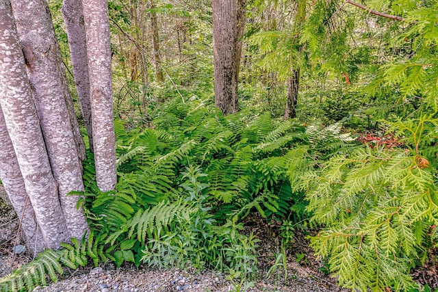 19 Bracken Ln, Stockton Springs, ME 04981 - photo 60