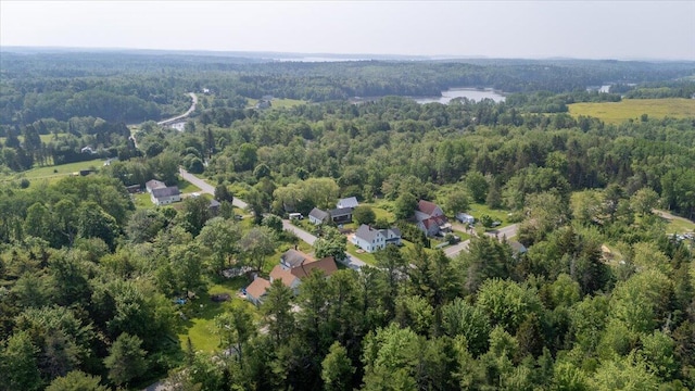 3 Salt Pond Rd, Friendship, ME 04547 - aerial view of property and surrounding area featuring a heavily wooded area