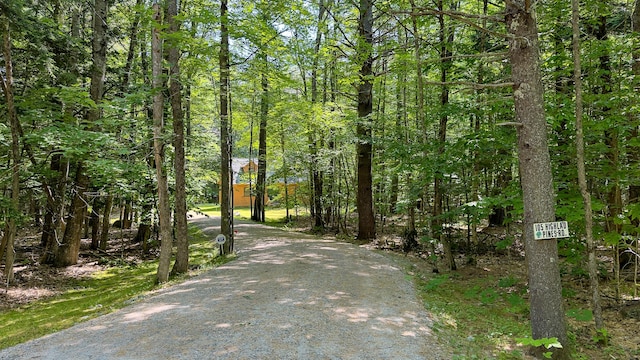105 Highland Pines Rd, Bridgton, ME 04009 - view of dirt / gravel road featuring a forest view