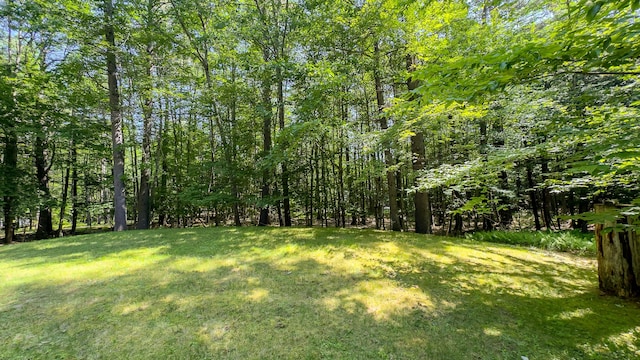 105 Highland Pines Rd, Bridgton, ME 04009 - view of grassy yard with a forest view