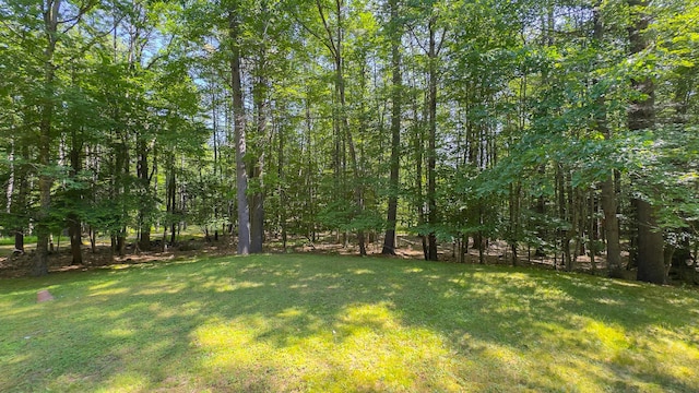 105 Highland Pines Rd, Bridgton, ME 04009 - view of green lawn