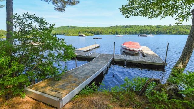 105 Highland Pines Rd, Bridgton, ME 04009 - dock area with a wooded view and a water view