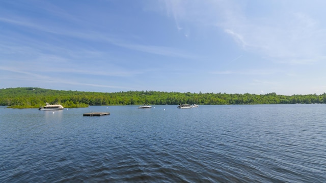 105 Highland Pines Rd, Bridgton, ME 04009 - water view featuring a floating dock and a heavily wooded area