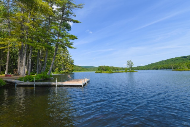105 Highland Pines Rd, Bridgton, ME 04009 - dock with a water view and a view of trees