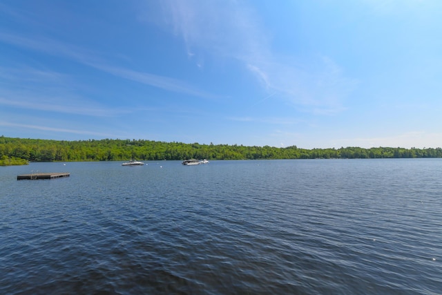 105 Highland Pines Rd, Bridgton, ME 04009 - water view featuring a boat dock and a forest