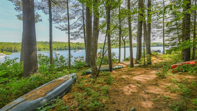 105 Highland Pines Rd, Bridgton, ME 04009 - water view with a heavily wooded area