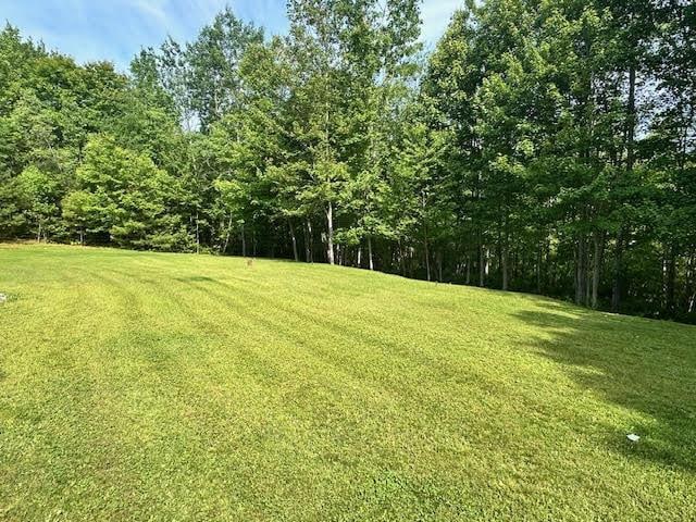 429 Moosehead Trail Highway, Waldo, ME 04915 - view of grassy yard featuring a wooded view
