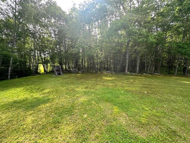 429 Moosehead Trail Highway, Waldo, ME 04915 - view of grassy yard