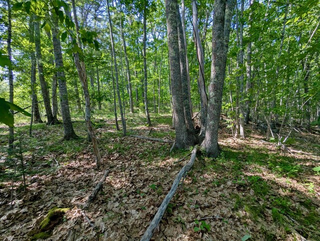 LOTTBD W Hamlet Rd, Newcastle, ME 04553
