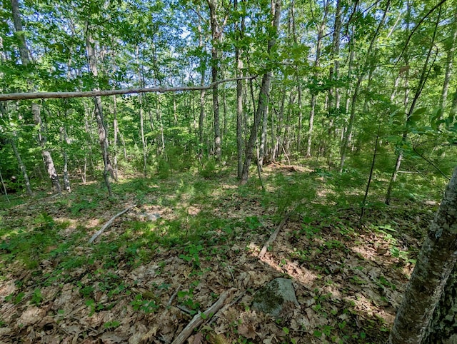 LOTTBD W Hamlet Rd, Newcastle, ME 04553