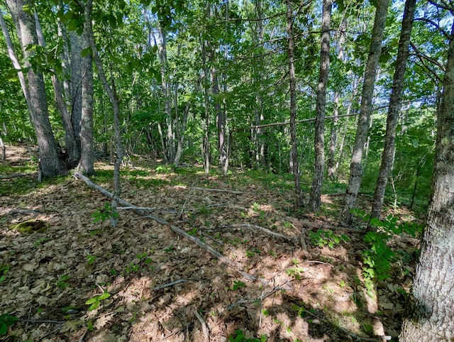LOTTBD W Hamlet Rd, Newcastle, ME 04553