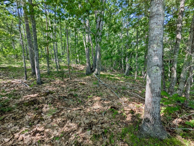 LOTTBD W Hamlet Rd, Newcastle, ME 04553