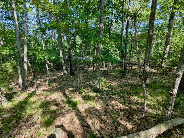 LOTTBD W Hamlet Rd, Newcastle, ME 04553