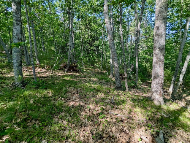 LOTTBD W Hamlet Rd, Newcastle, ME 04553