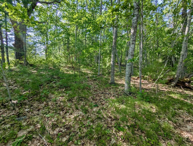 LOTTBD W Hamlet Rd, Newcastle, ME 04553