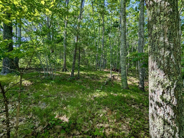 LOTTBD W Hamlet Rd, Newcastle, ME 04553