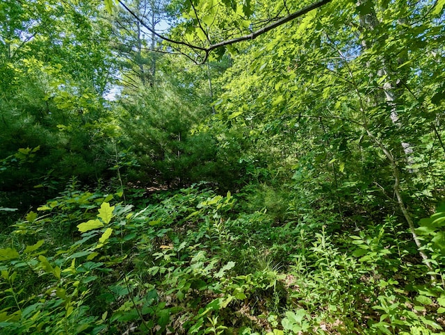 LOTTBD W Hamlet Rd, Newcastle, ME 04553
