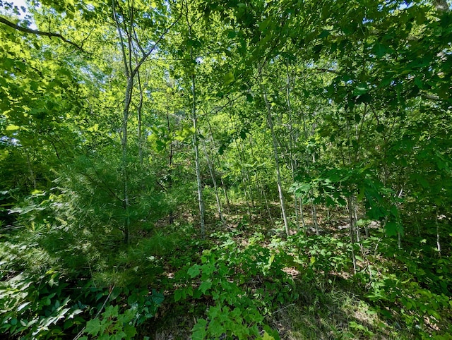 LOTTBD W Hamlet Rd, Newcastle, ME 04553