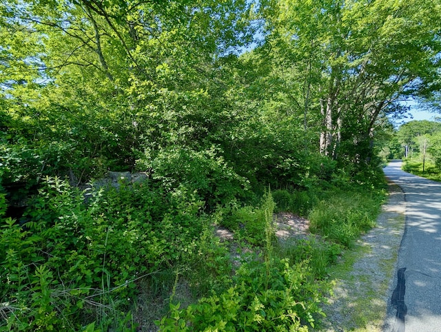 LOTTBD W Hamlet Rd, Newcastle, ME 04553