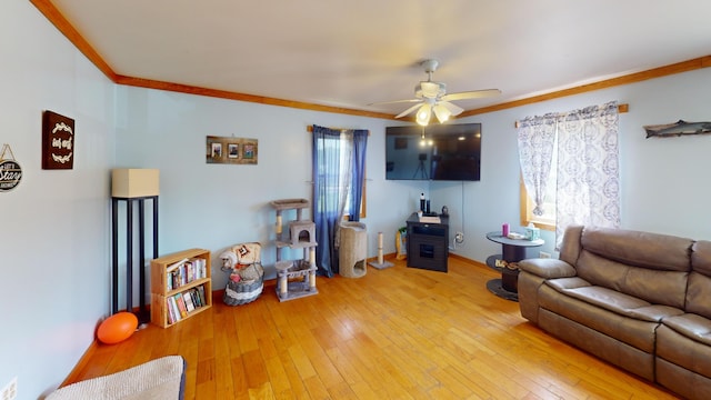 37 Mill St, Enfield, ME 04493 - living area with a ceiling fan, crown molding, and light wood finished floors