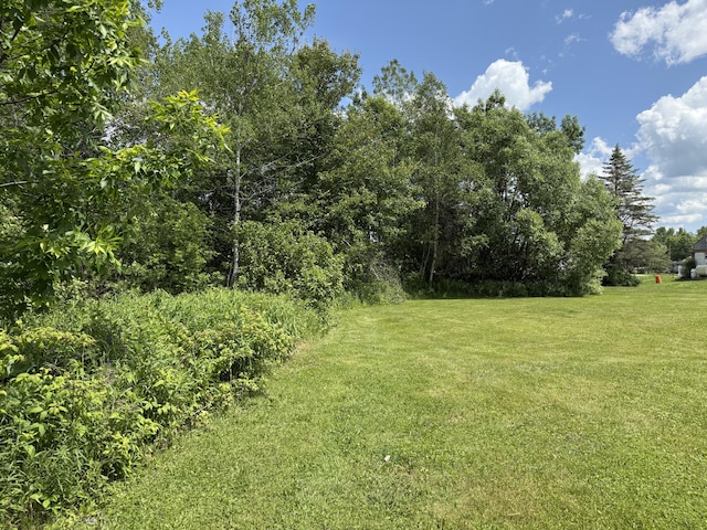 37 Mill St, Enfield, ME 04493 - view of grassy yard
