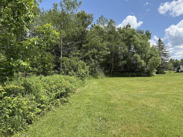37 Mill St, Enfield, ME 04493 - view of green lawn