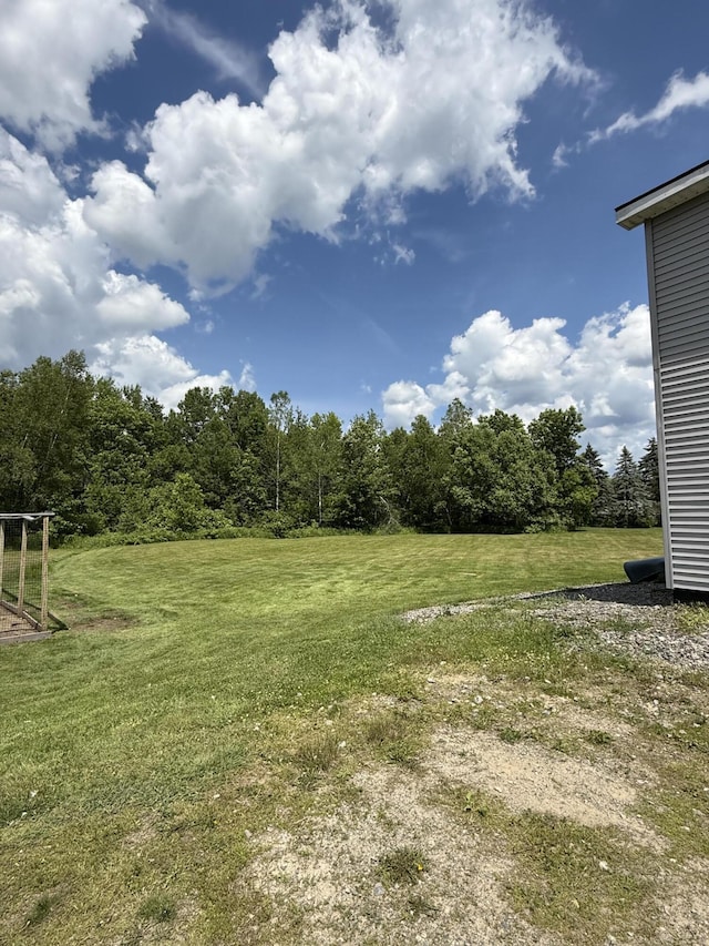 37 Mill St, Enfield, ME 04493 - view of green lawn featuring a view of trees