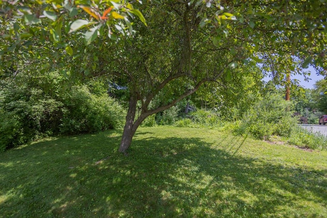 210 Middle St, Farmington, ME 04938 - view of green lawn
