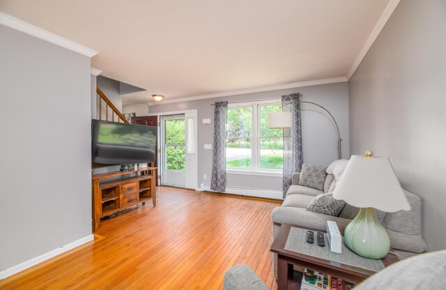 3 Pondview Dr, Lewiston, ME 04240 - living area featuring light wood-style flooring and crown molding