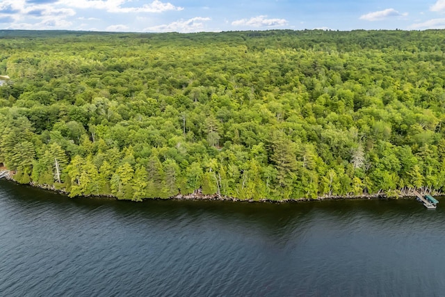 37 Parkhill Point Rd, Belgrade, ME 04917 - bird's eye view of a large body of water