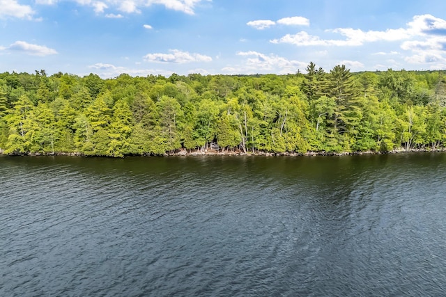 37 Parkhill Point Rd, Belgrade, ME 04917 - water view with a heavily wooded area