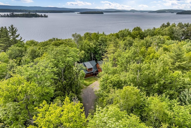 37 Parkhill Point Rd, Belgrade, ME 04917 - view from above of property with a nearby body of water