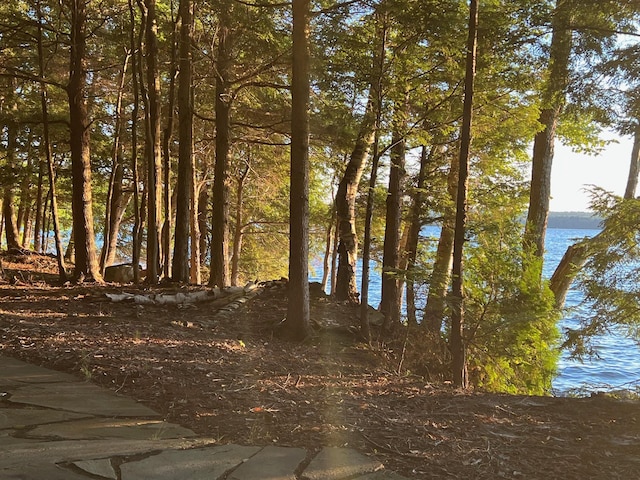 37 Parkhill Point Rd, Belgrade, ME 04917 - view of nature featuring a nearby body of water